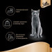 Sheba Вологий корм для кішок Sheba cig POU з лососем у соусі 85 г (4770608257279)