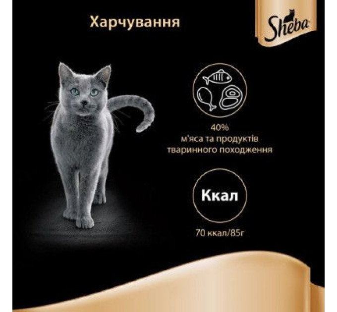 Sheba Вологий корм для кішок Sheba cig POU з лососем у соусі 85 г (4770608257279)