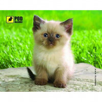 Килимок для мишки Pod Mishkou Сіамський котик