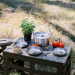 Tribe Туристичний стіл Tribe Camp Table High пластиковий Olive (T-EF-0004-olive)