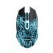 Trust Мишка Trust Basics Wireless Black (24750)