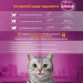 Whiskas Вологий корм для кішок Whiskas тунець, лосось в желе 4х85 г (8410136025433)
