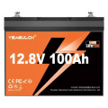 YEAGULCH Батарея LiFePo4 YEAGULCH 12.8V 100Ah Mini (YEAGULCH-12,8V/100Ah Mini)