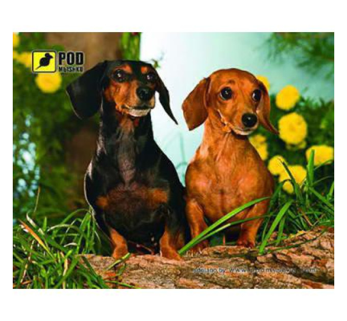 Pod Mishkou Килимок для мишки Pod Mishkou Такси