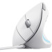 Trust Мишка Trust Verto Ergonomic USB White (25133)