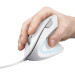 Trust Мишка Trust Verto Ergonomic USB White (25133)