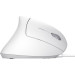 Trust Мишка Trust Verto Ergonomic USB White (25133)