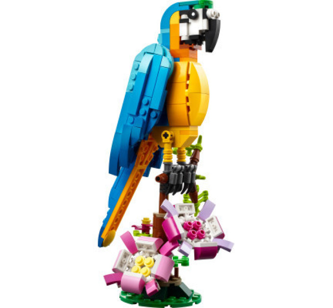 LEGO Конструктор LEGO Creator Екзотичний папуга 253 деталі (31136)