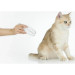 Petkit Кігтеріз для тварин Petkit LED Pet Clipper PRO (PK2302)