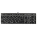 A4Tech Клавиатура A4Tech Fstyler FX60 White Neon backlit