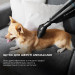 Cecotec Акумуляторний миючий пилосос Cecotec Conga Immortal ExtremeSuction 22.2 Animal Hand CCTC-05441 (8435484054416)