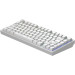 Dark Project Клавіатура Dark Project ALU81 Terra Nova PBT RGB Mech G3MS Moonstone White (DPKB_NOVA_81_ANSI_WHITE_UA)