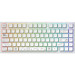 Dark Project Клавіатура Dark Project ALU81 Terra Nova PBT RGB Mech G3MS Moonstone White (DPKB_NOVA_81_ANSI_WHITE_UA)