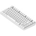 Dark Project Клавіатура Dark Project ALU81 Terra Nova PBT RGB Mech G3MS Moonstone White (DPKB_NOVA_81_ANSI_WHITE_UA)