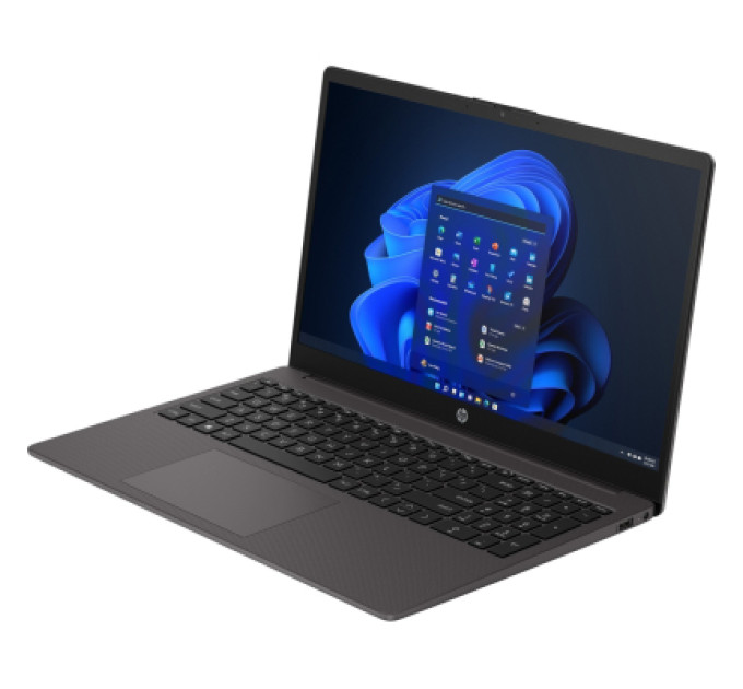 HP Ноутбук HP 255R G10 (CJ2T8AT)
