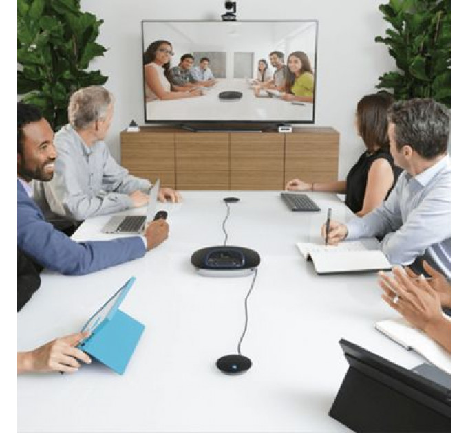Мікрофон Logitech для Logitech Group (989-000171)