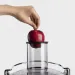 NUTRIBULLET Соковижималка NUTRIBULLET NBJ100G