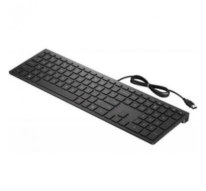 Клавіатура HP Pavilion 300 USB UA Black (4CE96AA)