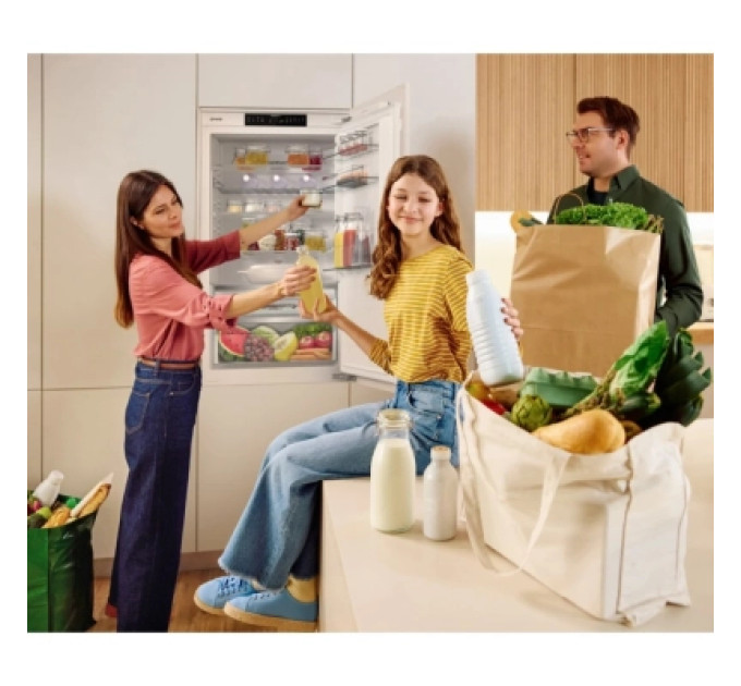 Gorenje Холодильник Gorenje NRKI619D61WFE