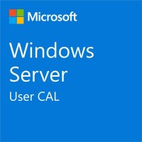 ПЗ для сервера Microsoft Windows Server 2025 CAL - 1 User CAL - 1 year Subscription, Commercial, Annual (DG7GMGF0PWHT_0004_P1Y_A)