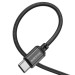 BOROFONE Дата кабель USB 2.0 AM to USB-C 1.0m BX87 Sharp black BOROFONE (6974443389043)