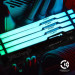 Kingston Fury (ex.HyperX) Модуль пам'яті для комп'ютера DDR5 32GB 5600 MHz Beast RGB Kingston Fury (ex.HyperX) (KF556C36BBEA-32)