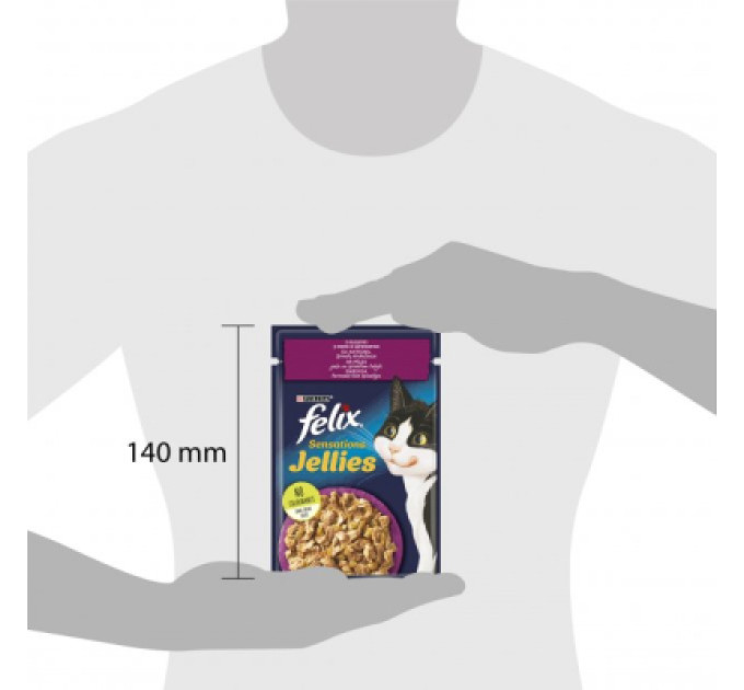 Purina Felix Вологий корм для кішок Purina Felix Sensations Jellies з качкою та шпинатом у желе 85 г (7613039831281)