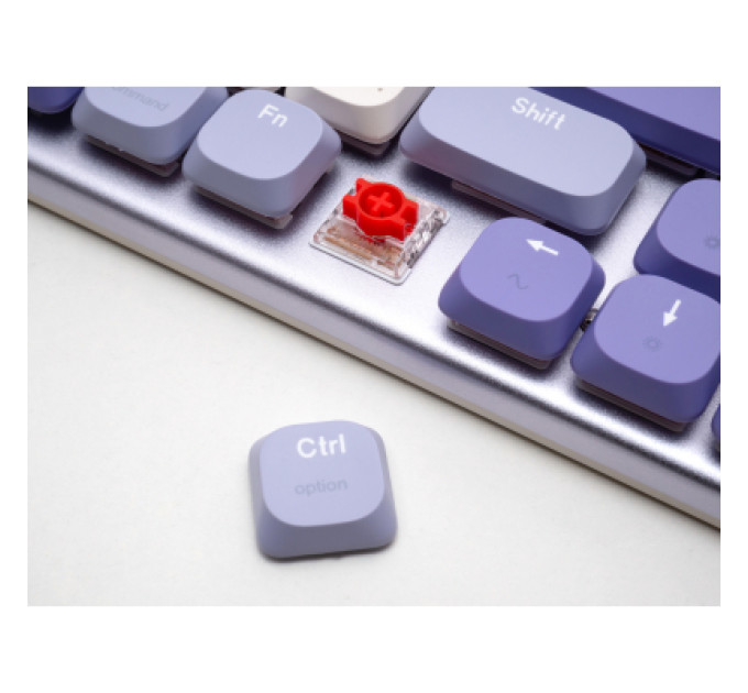 Thunderobot Клавіатура Thunderobot K96 Tri-mode Red Switch UA Purple (6932066308223)