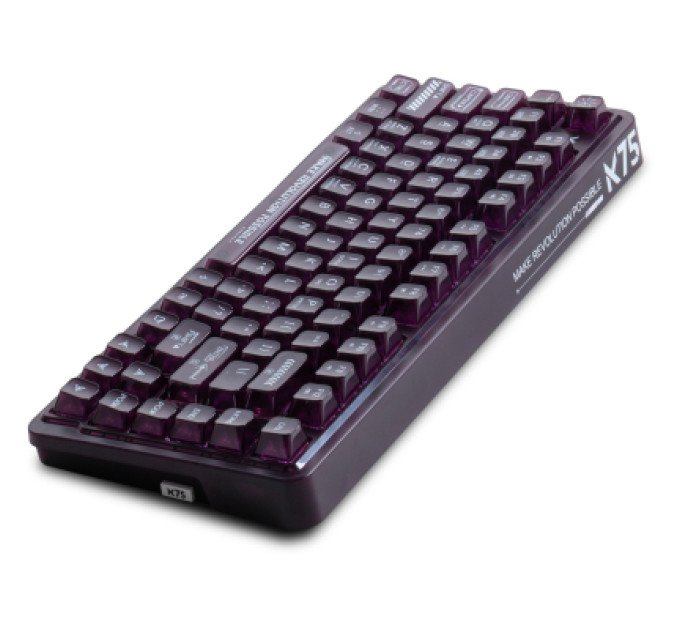 Thunderobot Клавіатура Thunderobot K75 TKL RGB Tri-mode Violet Mist Moon Switch UA Purple (6932066305550)