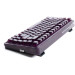 Thunderobot Клавіатура Thunderobot K75 TKL RGB Tri-mode Violet Mist Moon Switch UA Purple (6932066305550)
