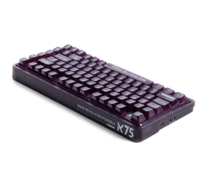 Thunderobot Клавіатура Thunderobot K75 TKL RGB Tri-mode Violet Mist Moon Switch UA Purple (6932066305550)