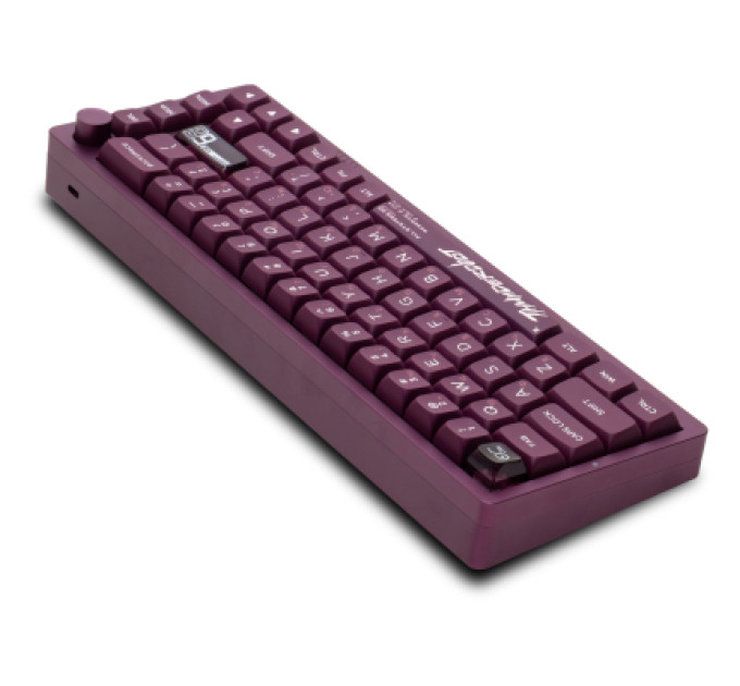 Thunderobot Клавіатура Thunderobot VIC68 Gateron Magnetic Jade Switch Purple USB UA (6932066317201)