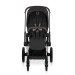 Cybex Коляска Cybex Priam 2 в 1 RG Sepia Black COMFORT (526000001)