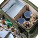 Ranger Набір для пікніка Ranger Rhamper Lux (RA9902)