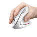 Trust Мишка Trust Verto Ergonomic Wireless White (25132)