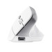 Trust Мишка Trust Bayo II Ergonomic Wireless White (25398)