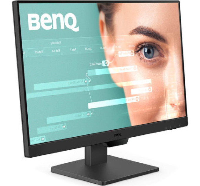 BenQ Монітор BenQ GW2490