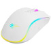 Havit Мишка Havit HV-MS1034 USB White (6939119065614)