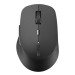 Rapoo Мишка Rapoo M300 Silent Gray