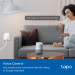TP-Link Розумна розетка TP-Link Tapo P100M