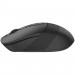Мишка A4Tech FB10CS Wireless/Bluetooth Stone Black (FB10CS Stone Black)