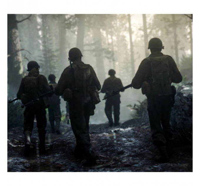 Гра Sony Call of Duty WWII [PS4] (1101406)