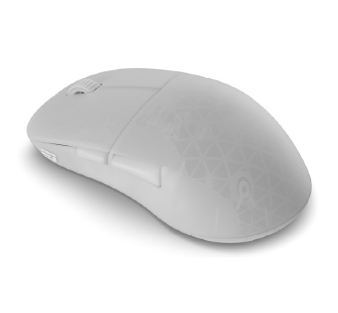 ENDGAME GEAR Мишка Endgame Gear XM2w 4k v2 Wireless Transparent White (PGW-EG-MOU-082)