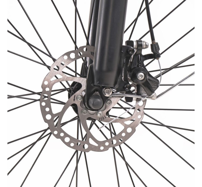 Maxxter Електричний велосипед Maxxter CITY 2.0 (Silver)