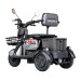 Maxxter Електроскутер Maxxter ANT LI (Gray)