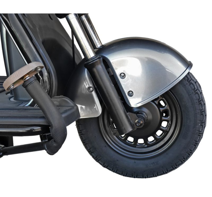 Maxxter Електроскутер Maxxter ANT LI (Gray)