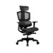 Cougar Крісло ігрове Argo One (Black), колір чорний