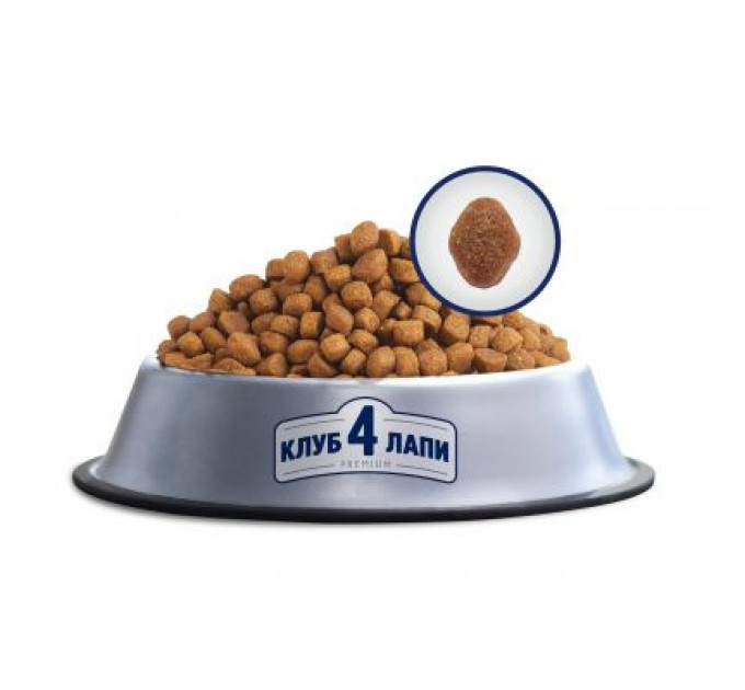 Club 4 Paws Сухий корм для кішок Club 4 Paws Преміум. Для кішок, які живуть в приміщенні 4 в 1 14 кг (4820083909436)