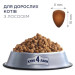 Club 4 Paws Сухий корм для кішок Club 4 Paws Преміум. З лососем 300 г (4820083909221)