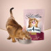 Club 4 Paws Сухий корм для кішок Club 4 Paws Selection Преміум З качкою та овочами 1.5 кг (4820215369145)